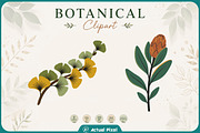 Boho Botanical Leaves Clipart Bundle, a Nature Photo by Actual Pixel (Thumbnail 8 of 21)