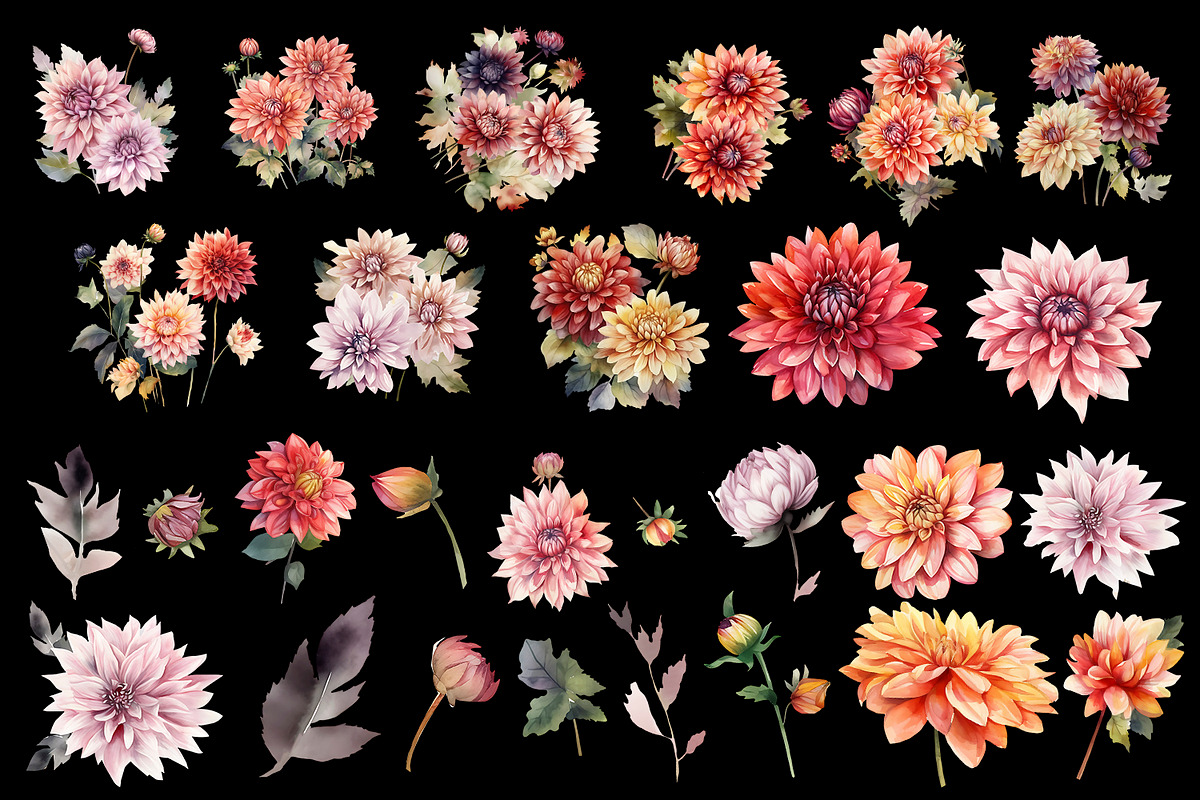 Dahlia flowers clipart, floral clip, a Decorative Illustration by ElenazlataArt (Photo 3 of 5)