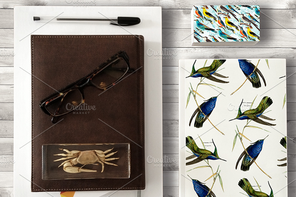 Digital paper antique birds 1, a Pattern Graphic by JAY MID IMAGE (Photo 4 of 5)