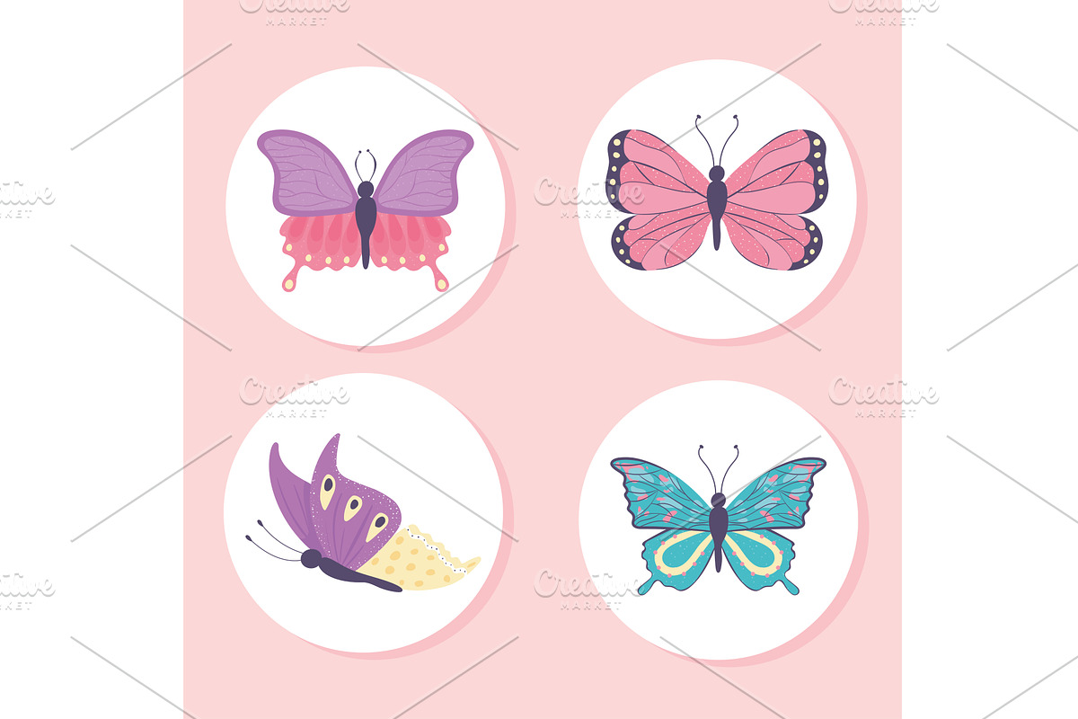 beautiful butterfly collection, an Animal Illustration by studiogstock