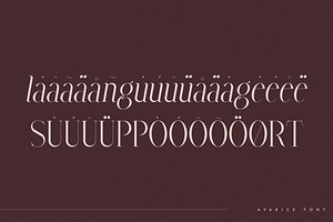 Avarice - Serif Typeface 4 Fonts