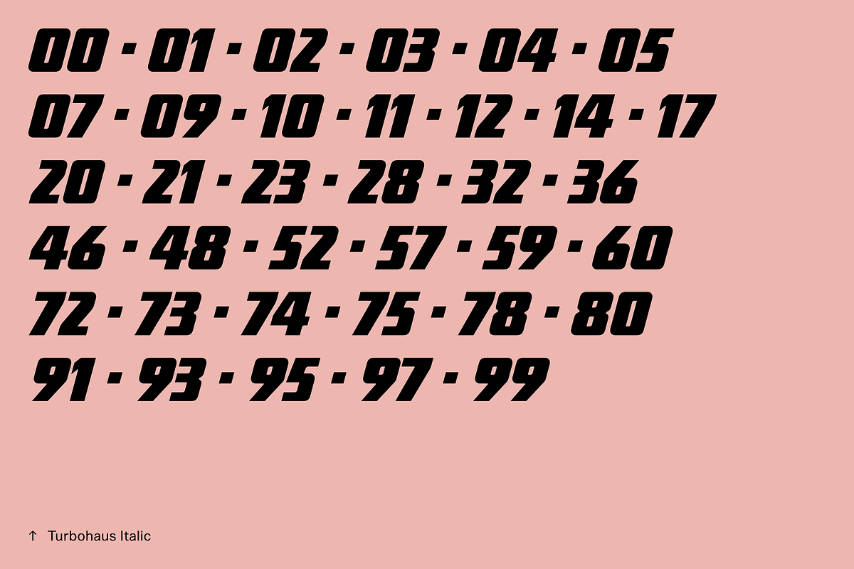 Turbohaus, a Sans Serif Font by Nameless Type Foundry (Photo 6 of 10)