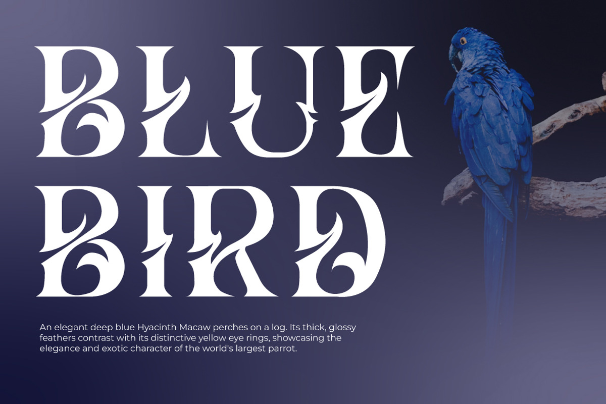 Hizba – Luxury Ornamental Serif Font, a Serif Font by kangfont Studio (Photo 9 of 10)