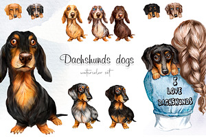 Dachshund dog watercolor clipart.