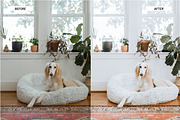 Lightroom Presets Home & Interiors, an Action Add-On by Best Lightroom Presets (Thumbnail 5 of 19)