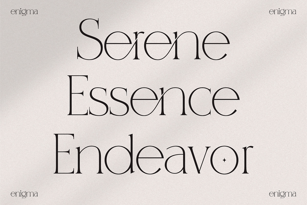 Enigma A Classy Ligatured Serif, a Serif Font by Prestige Artsy Studio (Photo 9 of 10)