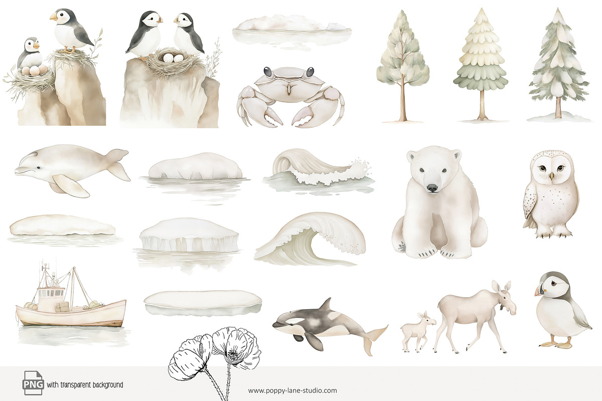 100 polar animal clip art, an Animal Illustration by Poppy Lane Studio (Photo 9 of 12)