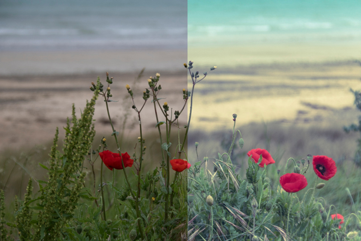 Impressions 10+2 Fineart LR Presets preview 7
