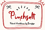 Pinchsalt - handwritten, a Handwritten Font by BearyType Studio (Thumbnail 1 of 6)