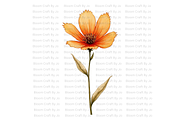 Rust Colored Wildflowers, a Decorative Illustration by Bloom Craft Creations (Thumbnail 9 of 10)