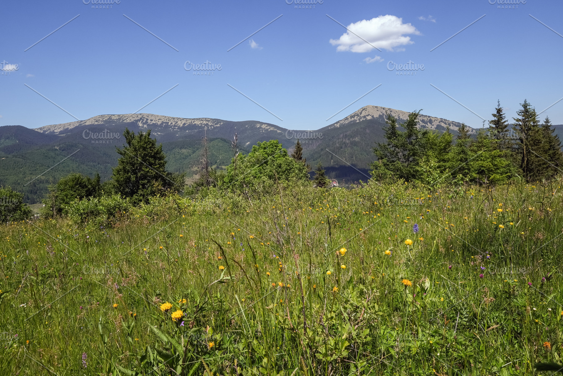 Summer Gorgany massiv mountains scenery view from Sevenei hill (, a Nature Photo by YuriyB