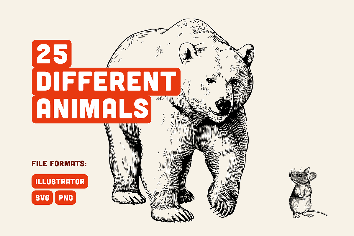 25 Woodland Animal Illustrations, an Animal Illustration by Vectorian (Photo 2 of 5)