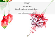 Watercolor Fuchsia flower, an Object Graphic by YuMyart (Thumbnail 3 of 3)