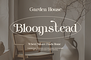 Quirky - Modern Stylish Elegant, a Serif Font by Qweera Studio (Thumbnail 7 of 10)