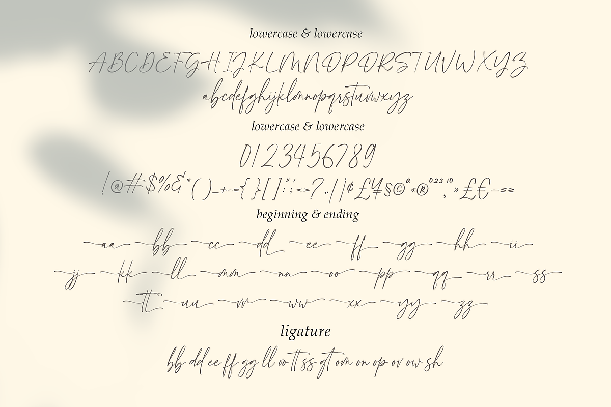 Sinthesa Boutney – Luxury Handwritte, a Script Font by MJB Letters (Photo 9 of 12)