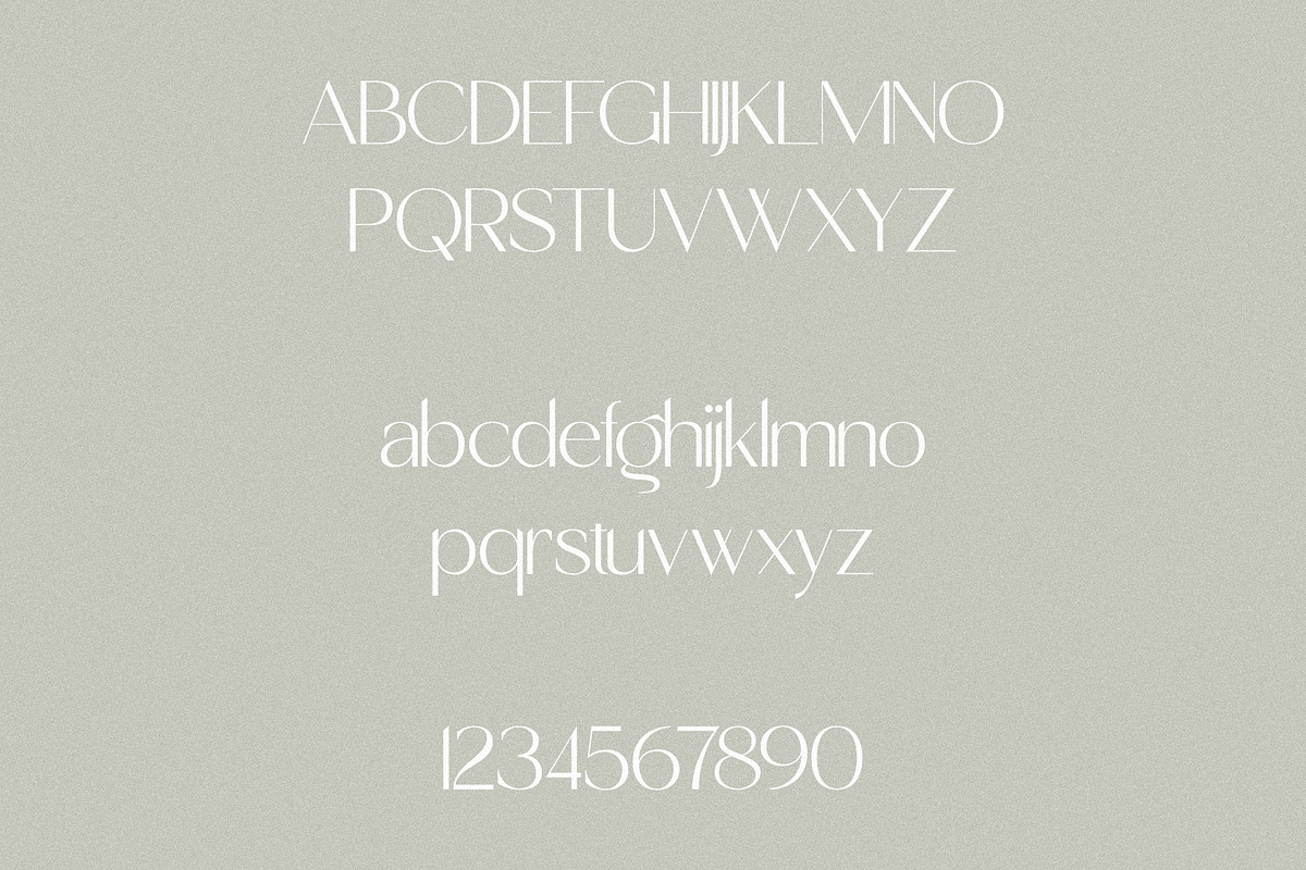 Sunshine - Elegant & Classic Sans, a Sans Serif Font by Misha Sova (Photo 7 of 8)