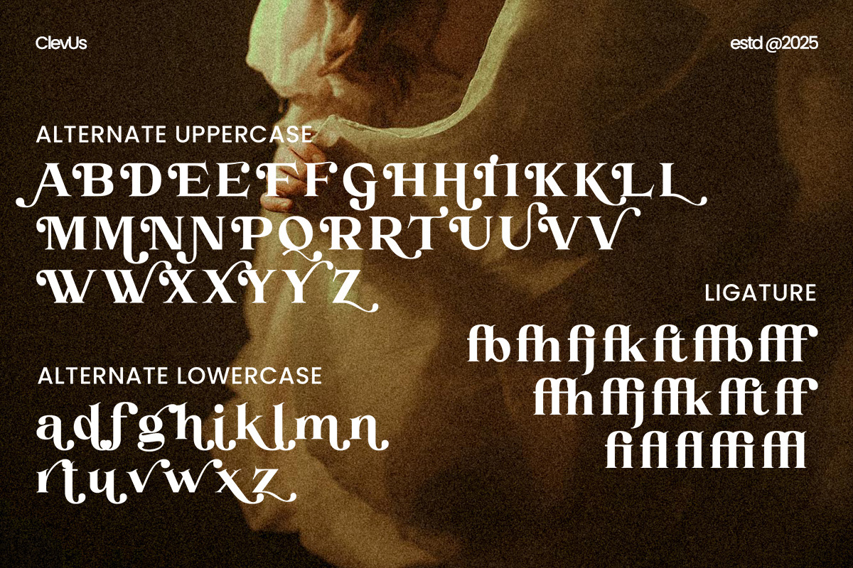 Hola Martini | Modern Serif Font, a Serif Font by ClevUs (Photo 10 of 12)
