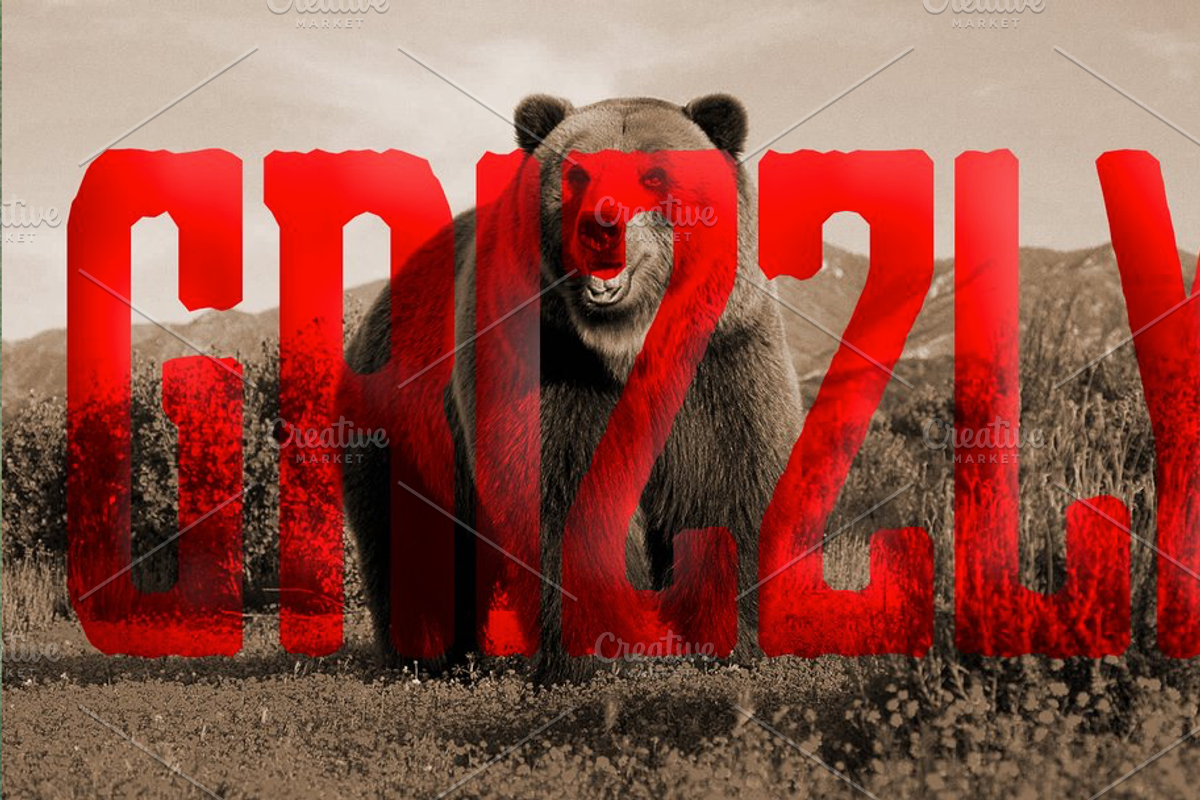 Grizzly 0116 Display Typeface, a Font by Eargle Design, LLC (Photo 3 of 3)