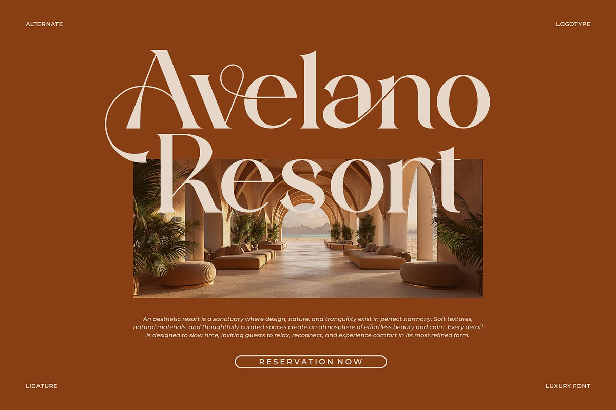 Haidan || Moden Classy Serif Font, a Serif Font by Ermedia Studio (Photo 3 of 10)