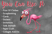 Watercolor Pink Crazy Flamingo PNG, a Work Illustration by Craft Nest (Thumbnail 5 of 5)