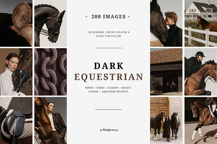 Dark Equestrian | 200 stock images, an Animal Photo by Tale.Haus