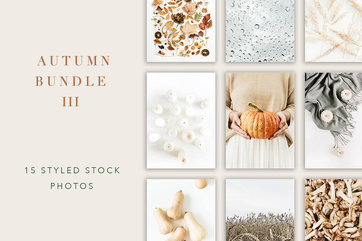 Autumn Bundle 3, a Beauty & Fashion Photo by Floral Deco (Photo 1 of 9)