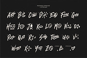 Resonance - Hand brushed With Extras, a Handwritten Font by Swandtype (Thumbnail 10 of 12)
