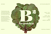 Imagist Intro Super Sale!, a Serif Font by Fenotype (Thumbnail 6 of 10)