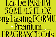 Oligierky Modern Editorial Serif, a Serif Font by timelesstype.co (Thumbnail 8 of 10)