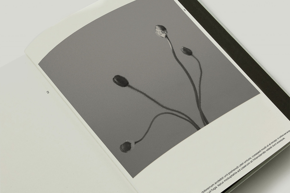 Minimalistic Magazine Template⸻Meg, a Magazine Template by Studio Viita (Photo 7 of 7)