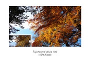33 Pro Matte Film Actions, an Action Add-On by SparkleStock (Thumbnail 4 of 9)