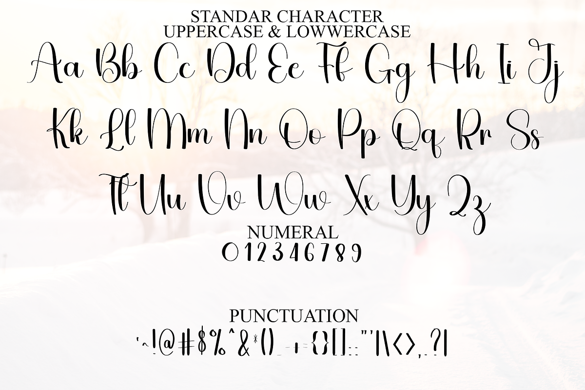 Stylish Writing, a Handwritten Font by InermediaSTUDIO (Photo 1 of 8)