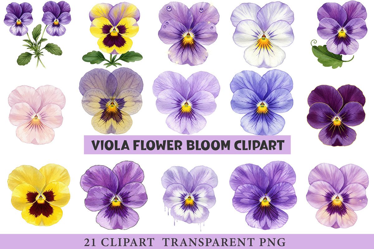 Viola Flower Bloom Clipart, an Illustration by cherrydesign (Photo 1 of 3)