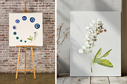 Watercolor Blueberry Life Cycle Set, an Education Illustration by Tati Bordiu (Thumbnail 2 of 4)