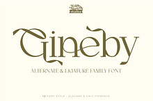 Gineby - Serif Typeface Font