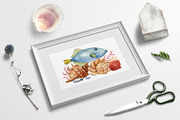Seashells and fish, watercolor, an Animal Illustration by Hanna Hryharenka (Thumbnail 13 of 20)