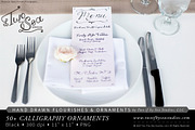 Hand Drawn Calligraphy Ornaments, an Illustration by Two if by Sea Studios (Thumbnail 5 of 5)