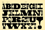 Lapoya Font, a Slab Serif Font by Cuchi, qué Tipo! Foundry (Thumbnail 4 of 18)