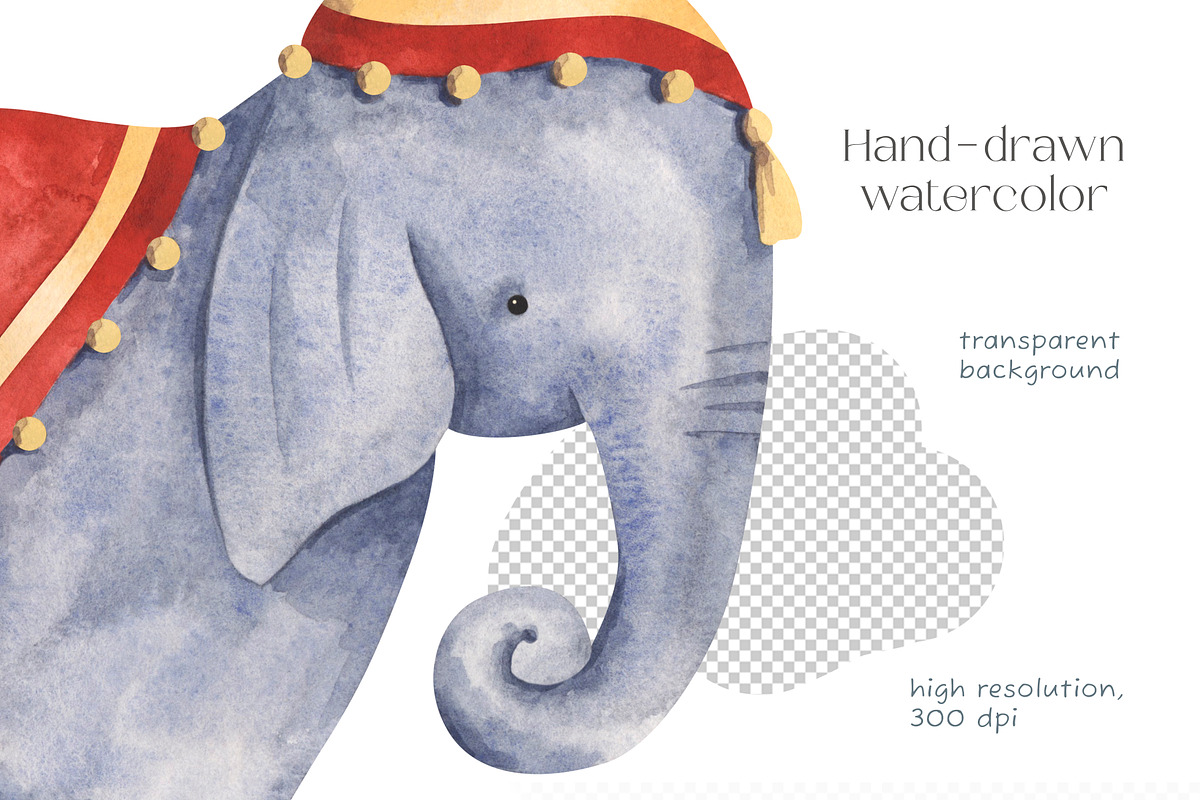 Circus, an Animal Illustration by NellyaEgorova (Photo 6 of 7)