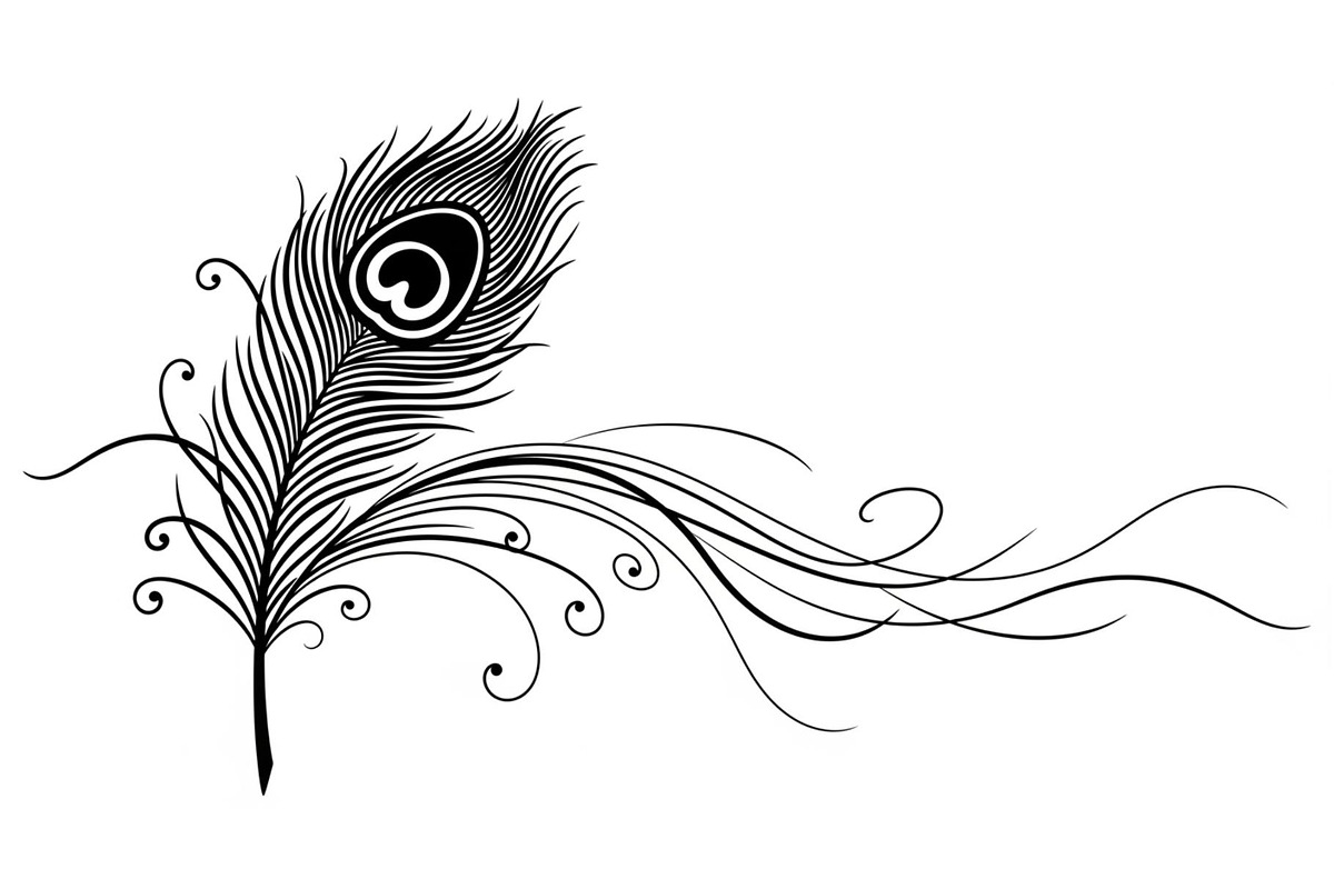 Peacock Feather Silhouette Bundle, an Illustration by jahid234 (Photo 12 of 31)