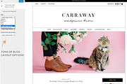 The Carraway Theme, a WordPress Template by angiemakeswebsites (Thumbnail 3 of 5)
