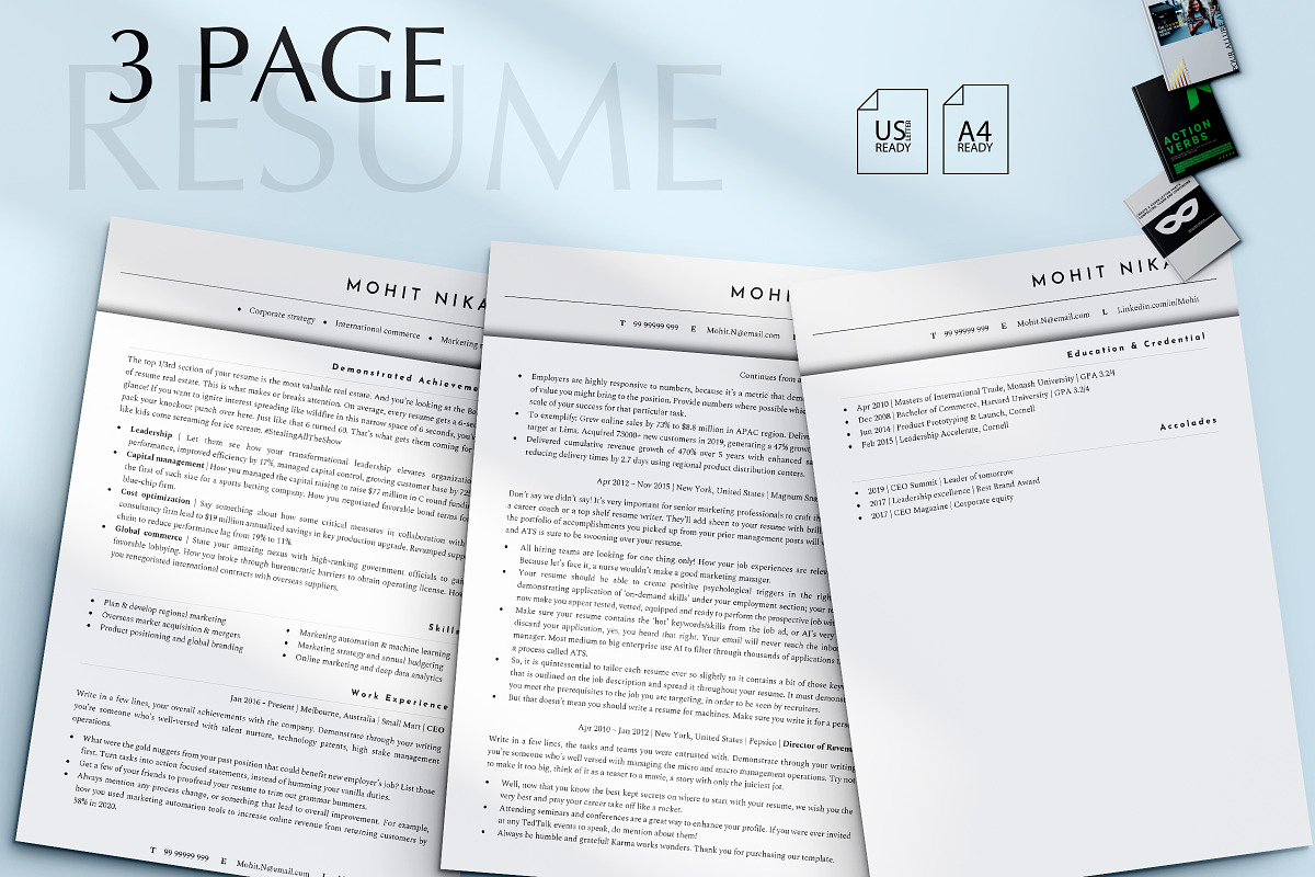 Director Resume Template, CV, a Resume Template by Career Canvas (Photo 4 of 11)