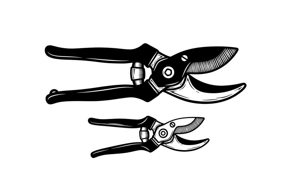 50 Professional Garden Shears Vector, an Illustration by hafijul (Photo 34 of 51)