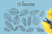 Hand drawn floral elements, a Decorative Illustration by Wander Designs (Thumbnail 8 of 8)
