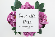 Sweet Carolina, a Script Font by Hewitt Avenue (Thumbnail 11 of 11)