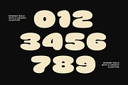Rownet - Rounded Bold Font, a Sans Serif Font by limitype (Thumbnail 15 of 16)