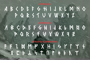 Rune Font Old North