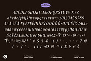 CS Alma Pixel, a Serif Font by Craft Supply Co. (Thumbnail 8 of 8)