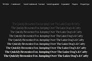 Magres, a Serif Font by Propertype (Thumbnail 12 of 15)