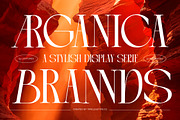 Arganica Stylish Display Serif, a Serif Font by timelesstype.co (Thumbnail 1 of 20)